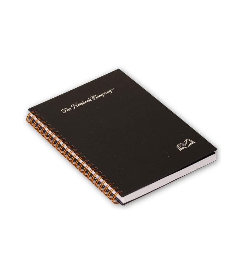 Paris at Midnight - pearl noir