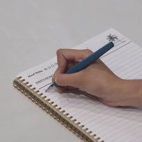Paris at Midnight Basalt notebook video 2